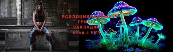молекула духа Горно-Алтайск