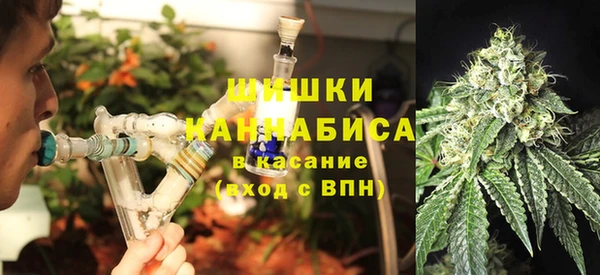 молекула духа Горно-Алтайск