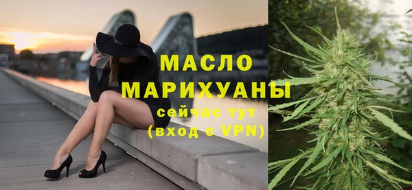 гашик Горняк